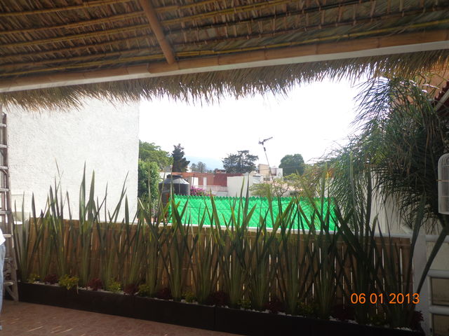 bambú