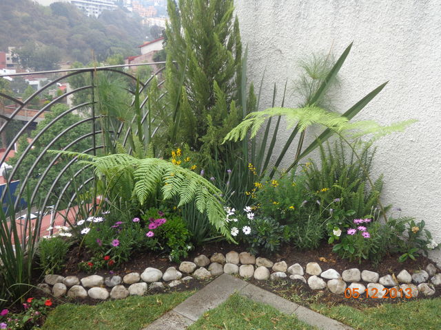 decoración de plantas