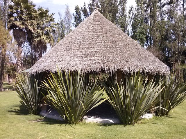 palapa con fornios