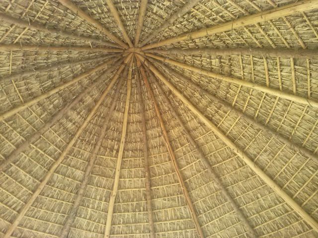 parte de abajo de la palapa